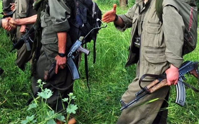 PKK-nın 13 üzvü öldürüldü