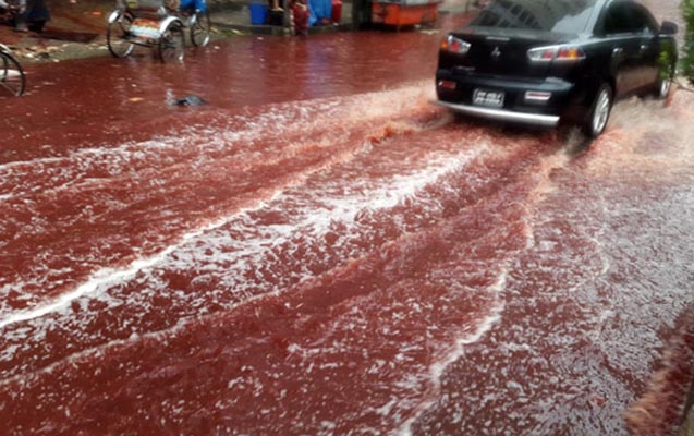 Paytaxt küçələrindən qan seli axdı