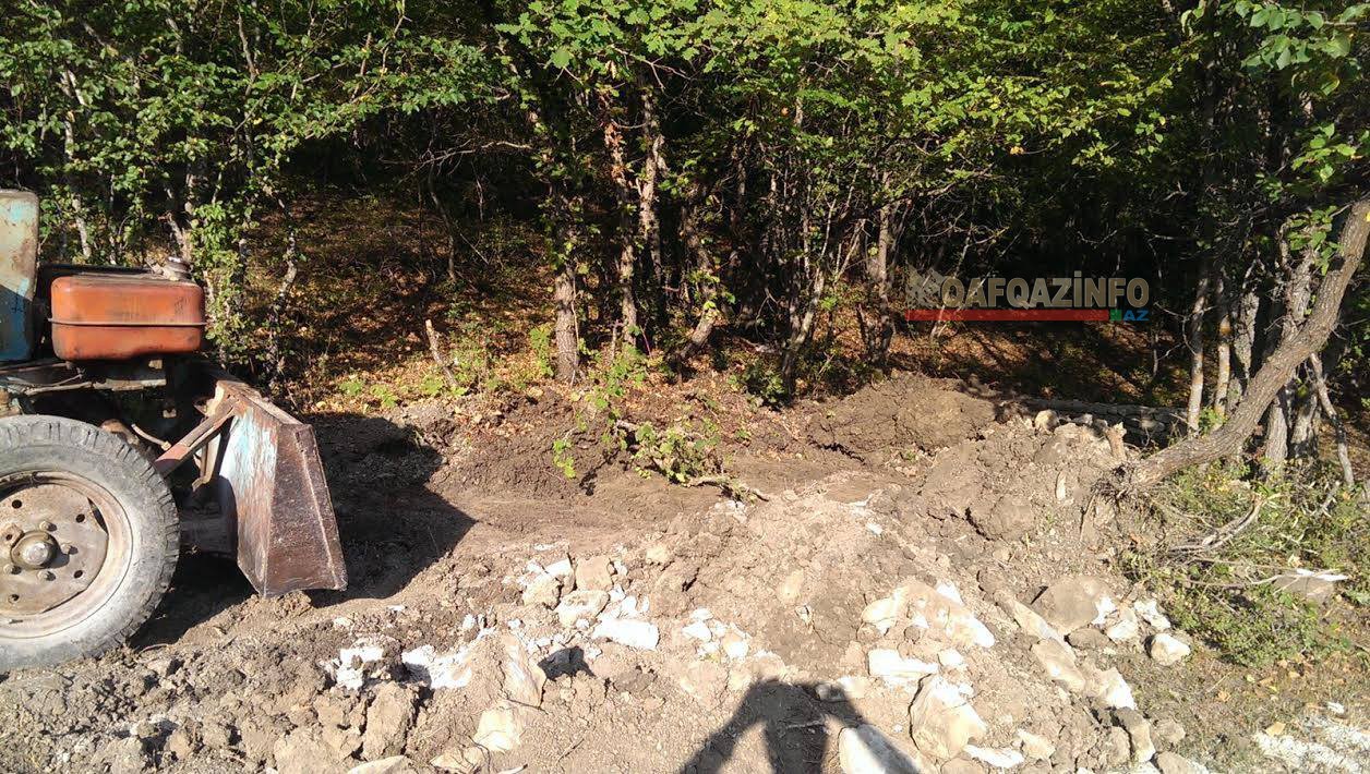 Milli Parkdakı ağacları kim qırır? -  Nazirlikdən cavab+Fotolar