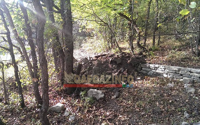 Milli Parkdakı ağacları kim qırır? -  Nazirlikdən cavab+Fotolar