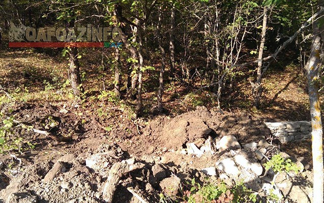 Milli Parkdakı ağacları kim qırır? -  Nazirlikdən cavab+Fotolar