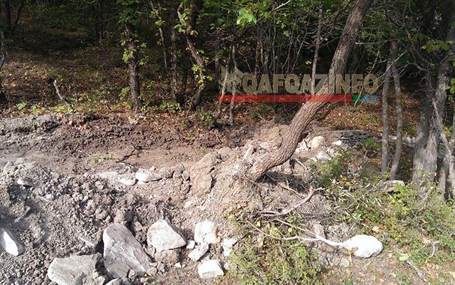 Milli Parkdakı ağacları kim qırır? -  Nazirlikdən cavab+Fotolar