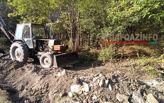 Milli Parkdakı ağacları kim qırır? -  Nazirlikdən cavab+Fotolar