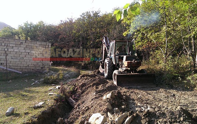 Milli Parkdakı ağacları kim qırır? -  Nazirlikdən cavab+Fotolar