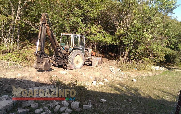 Milli Parkdakı ağacları kim qırır? -  Nazirlikdən cavab+Fotolar