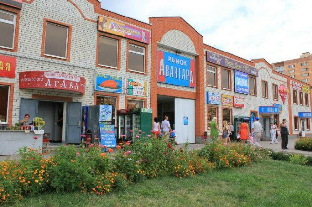 Telman İsmayılova şok zərbə