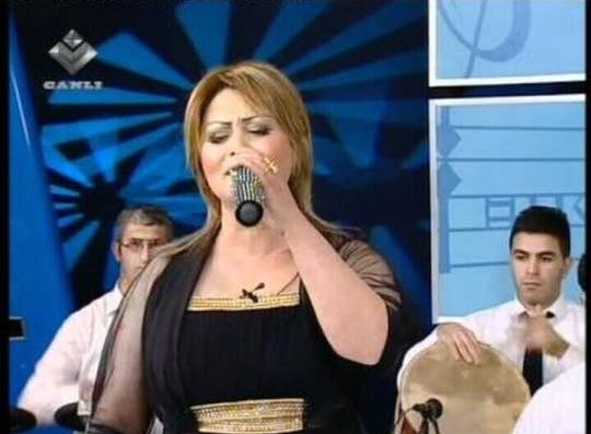 Tanınmış m&uuml;ğənni avtomobil qəzasına d&uuml;şd&uuml;