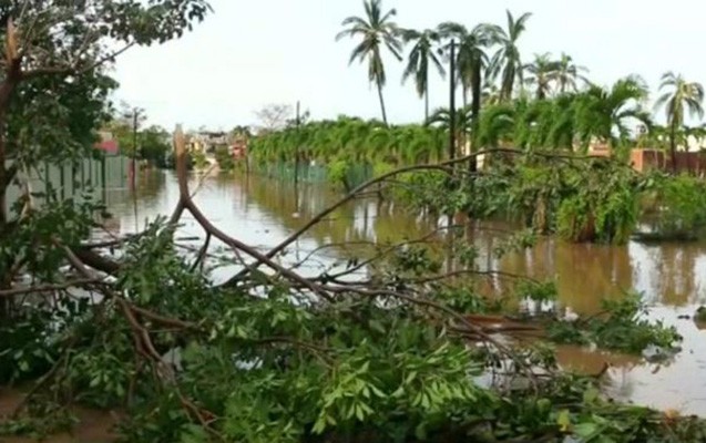 Qasırğa bu ölkədə 3500 evi dağıtdı -  Fotolar
