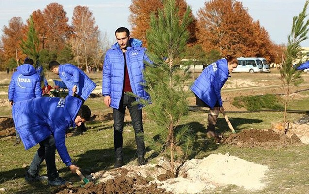 10 min ağac əkiləcək -  Gəncədə