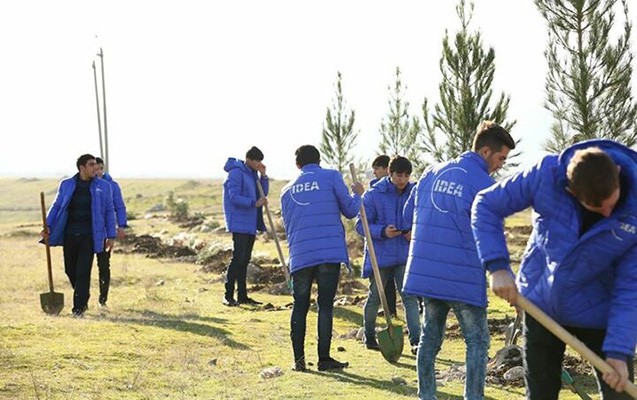 10 min ağac əkiləcək -  Gəncədə