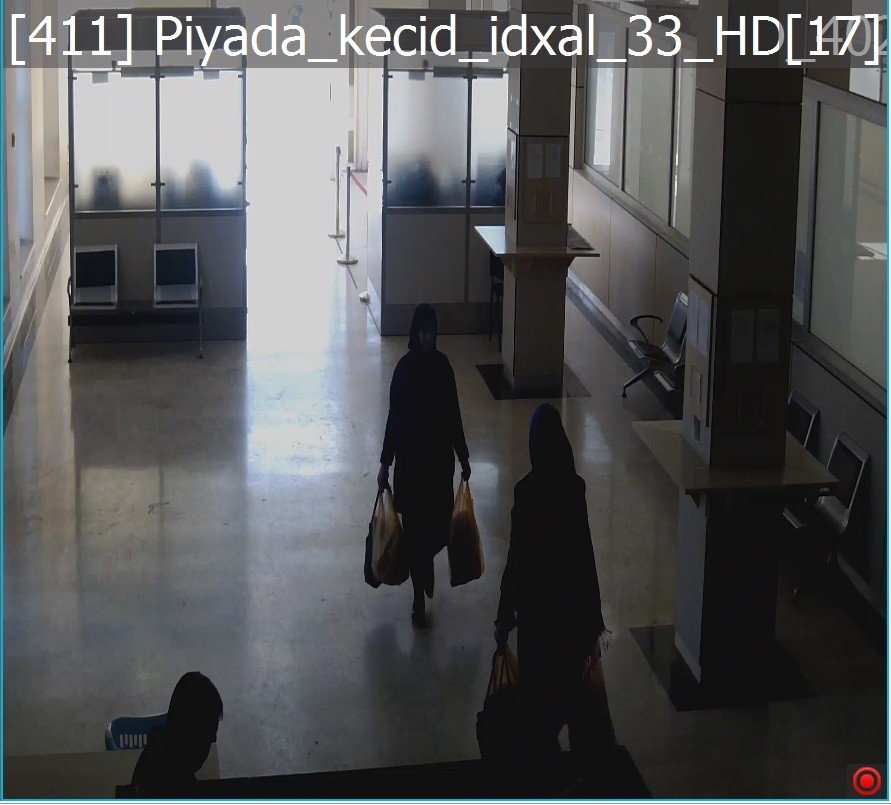 Gömrükdə vəziyyət necədir? -   Fotolar