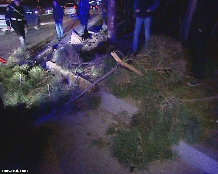 Bakıda maşın ağaca &ccedil;ırpılıb - 4 yaralı - Fotolar