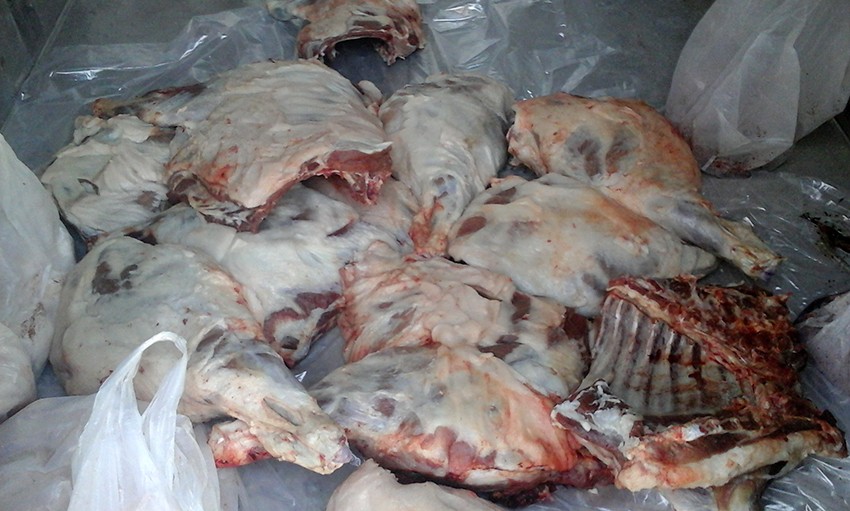 “Baqaj”ında Azərbaycana 3 baş donuz cəmdəyi gətirdi -  Fotolar