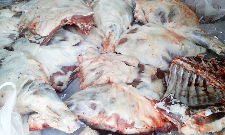 “Baqaj”ında Azərbaycana 3 baş donuz cəmdəyi gətirdi -  Fotolar