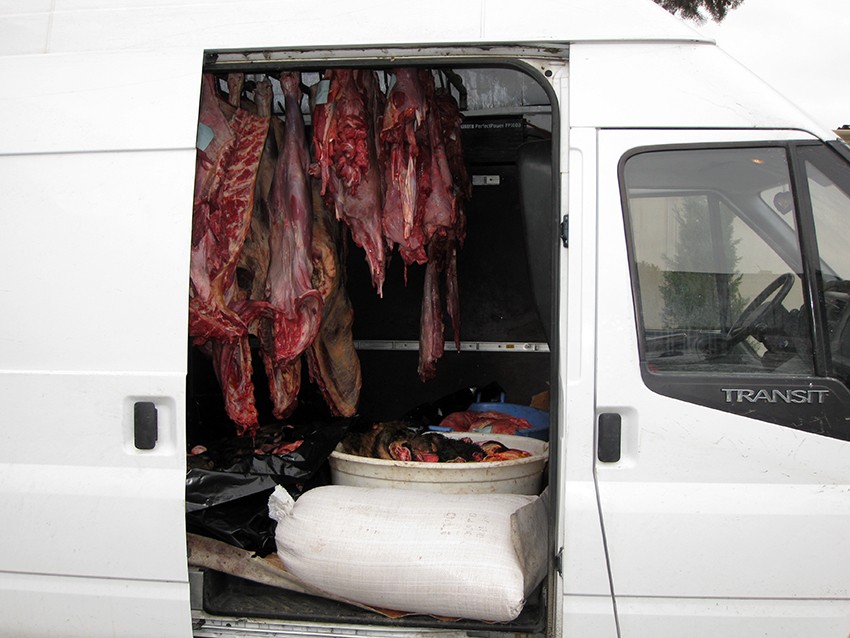 Bakıda qidaya yararsız 1 tondan &ccedil;ox ət zərərsizləşdirildi - Fotolar