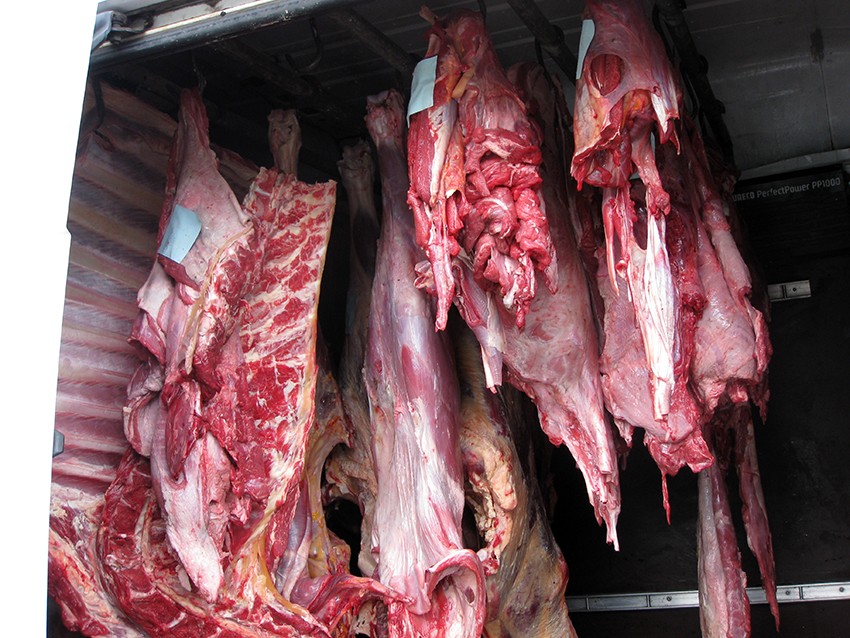 Bakıda qidaya yararsız 1 tondan &ccedil;ox ət zərərsizləşdirildi - Fotolar