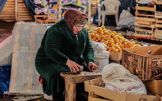 Bazarda yerli məhsul od qiymətinədir - Reportaj
