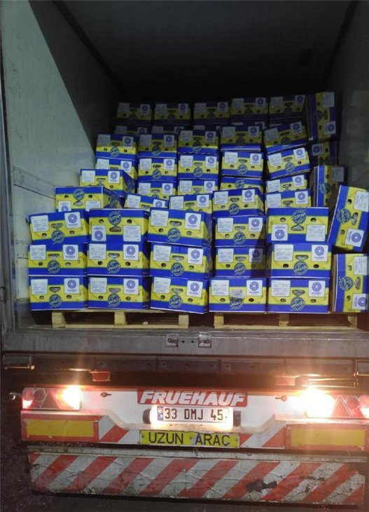 T&uuml;rkiyədə qa&ccedil;aqmal&ccedil;ılıq edən azərbaycanlılar saxlanıldı - Fotolar