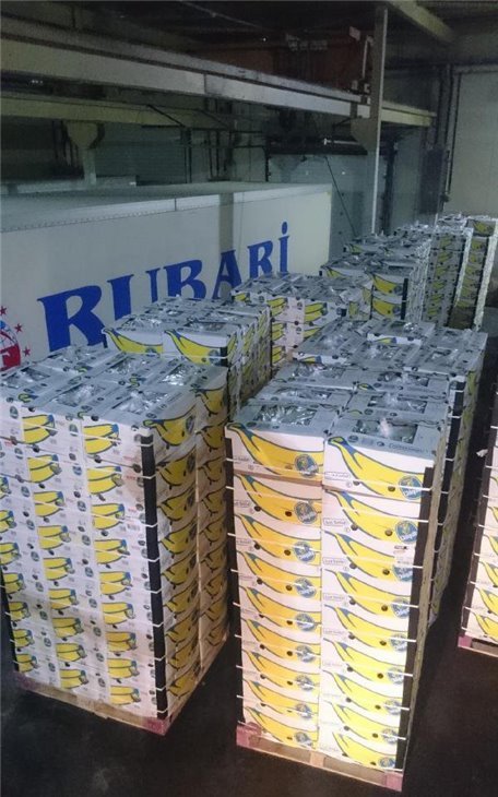 T&uuml;rkiyədə qa&ccedil;aqmal&ccedil;ılıq edən azərbaycanlılar saxlanıldı - Fotolar