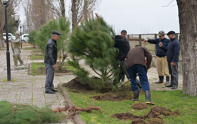 İcra başçısı ağacəkmə kampaniyasına qoşuldu