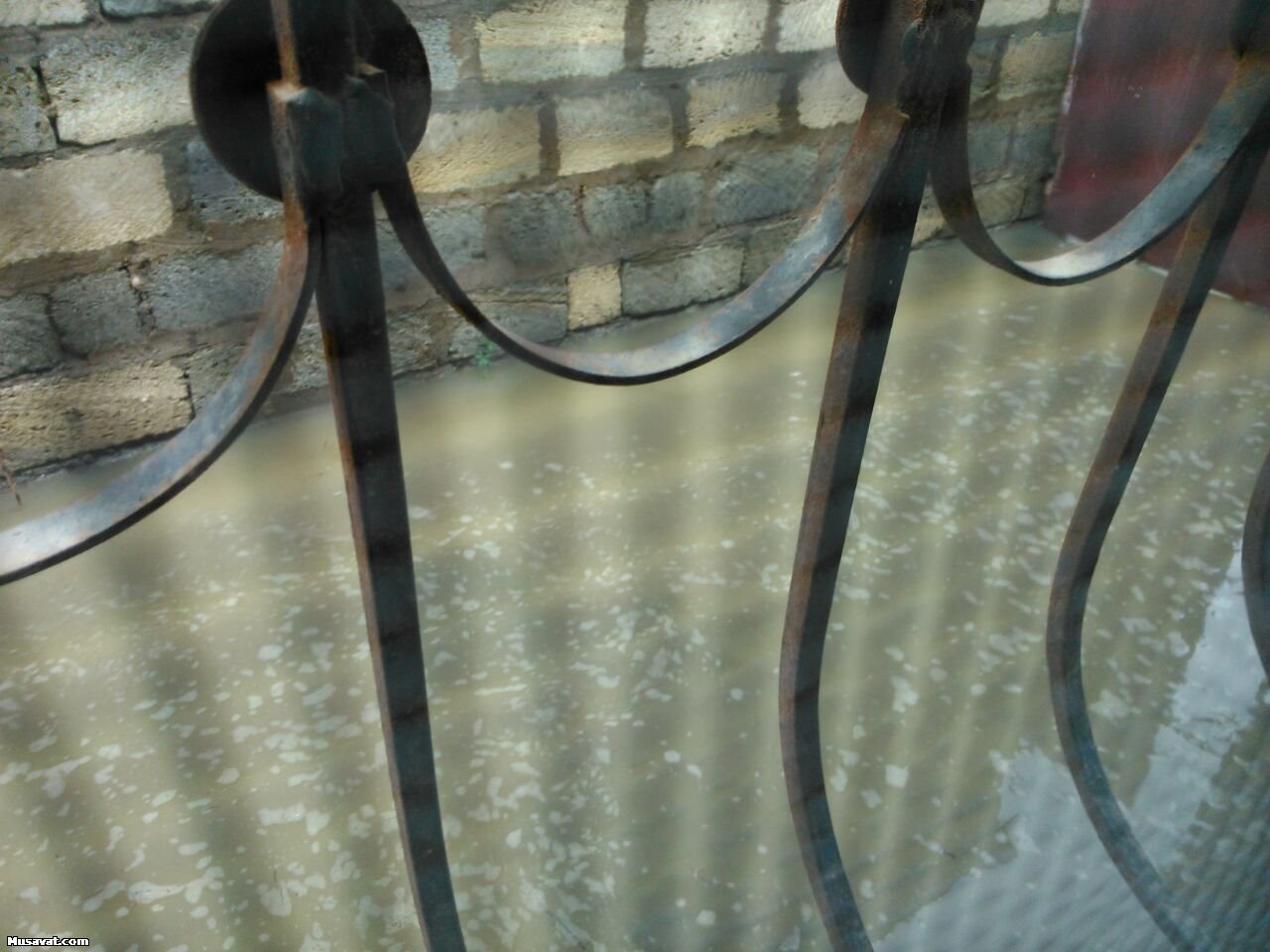 Bakıda yağış fəsadları - Evi su basdı+Fotolar