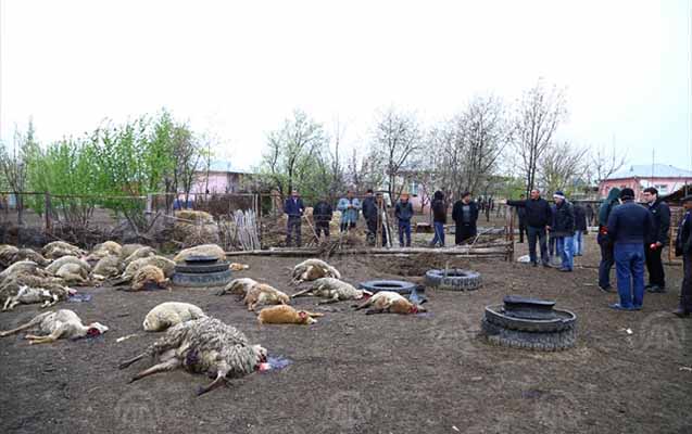 Erməni təxribatını s&uuml;but edən - Fotolar