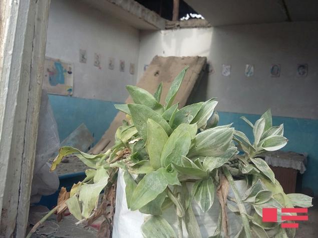 Ermənilər dinc əhalini niyə hədəf seçib?  -  Fotosessiya