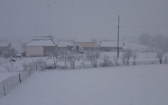 Gədəbəyə qar yağıb - Fotolar