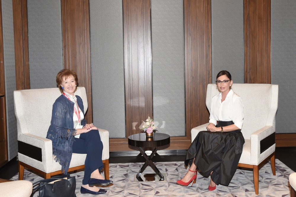 Heydər Əliyev Fondu ilə San Patrignano Cəmiyyəti arasında əməkdaşlıq m&uuml;zakirəsi