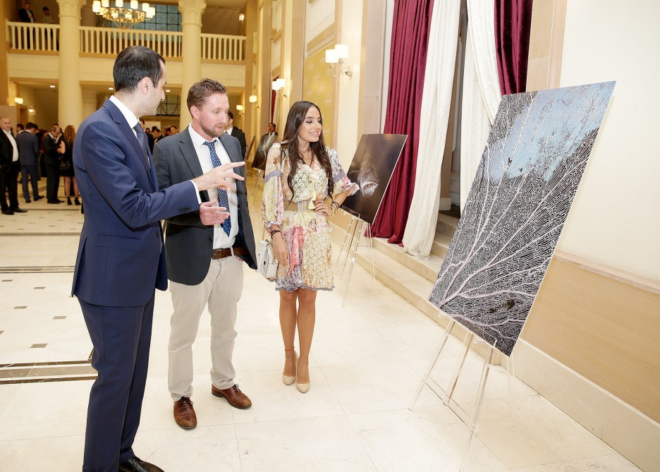 Leyla Əliyeva film təqdimatında - Fotolar