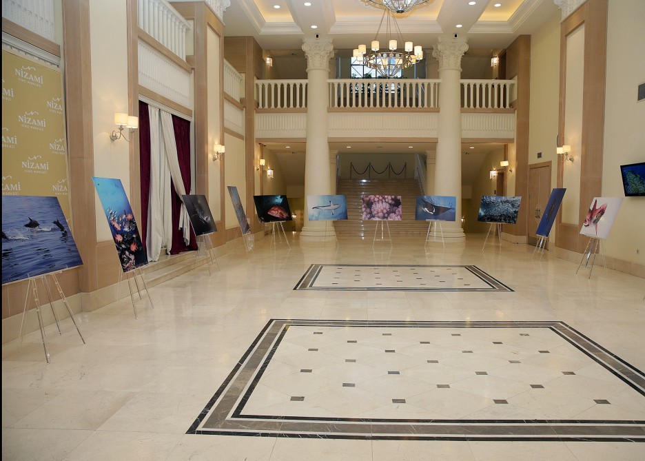 Leyla Əliyeva film təqdimatında - Fotolar