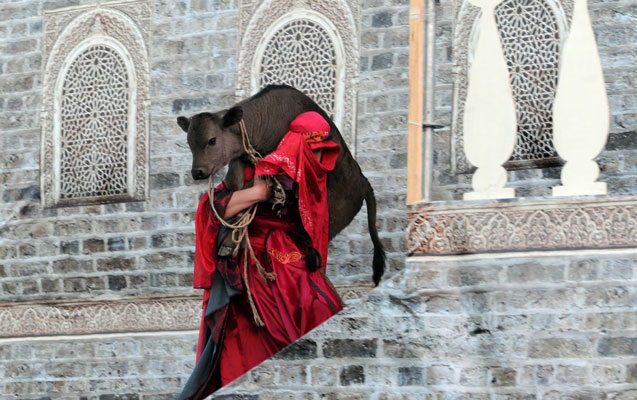 İcra baş&ccedil;ısı festivalda - Fotolar