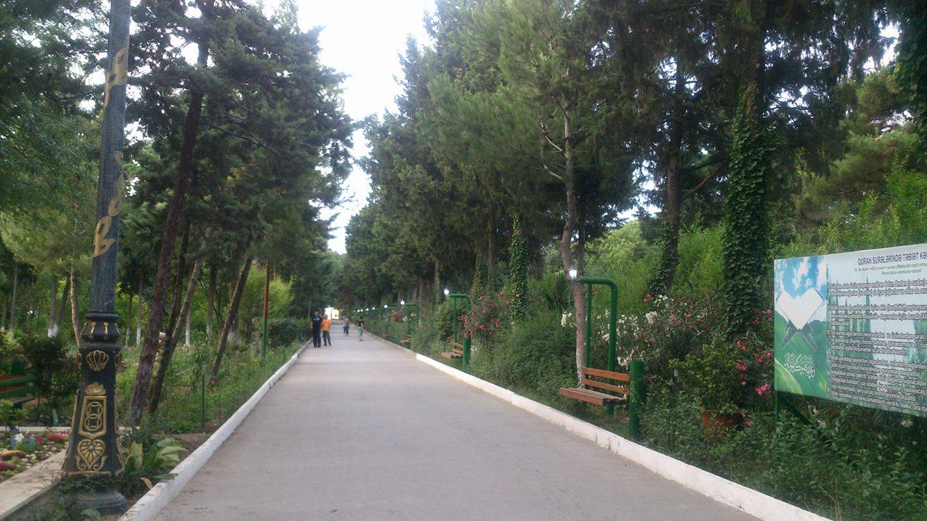 Bakının məşhur bağı çirkab içində... -  Fotolar