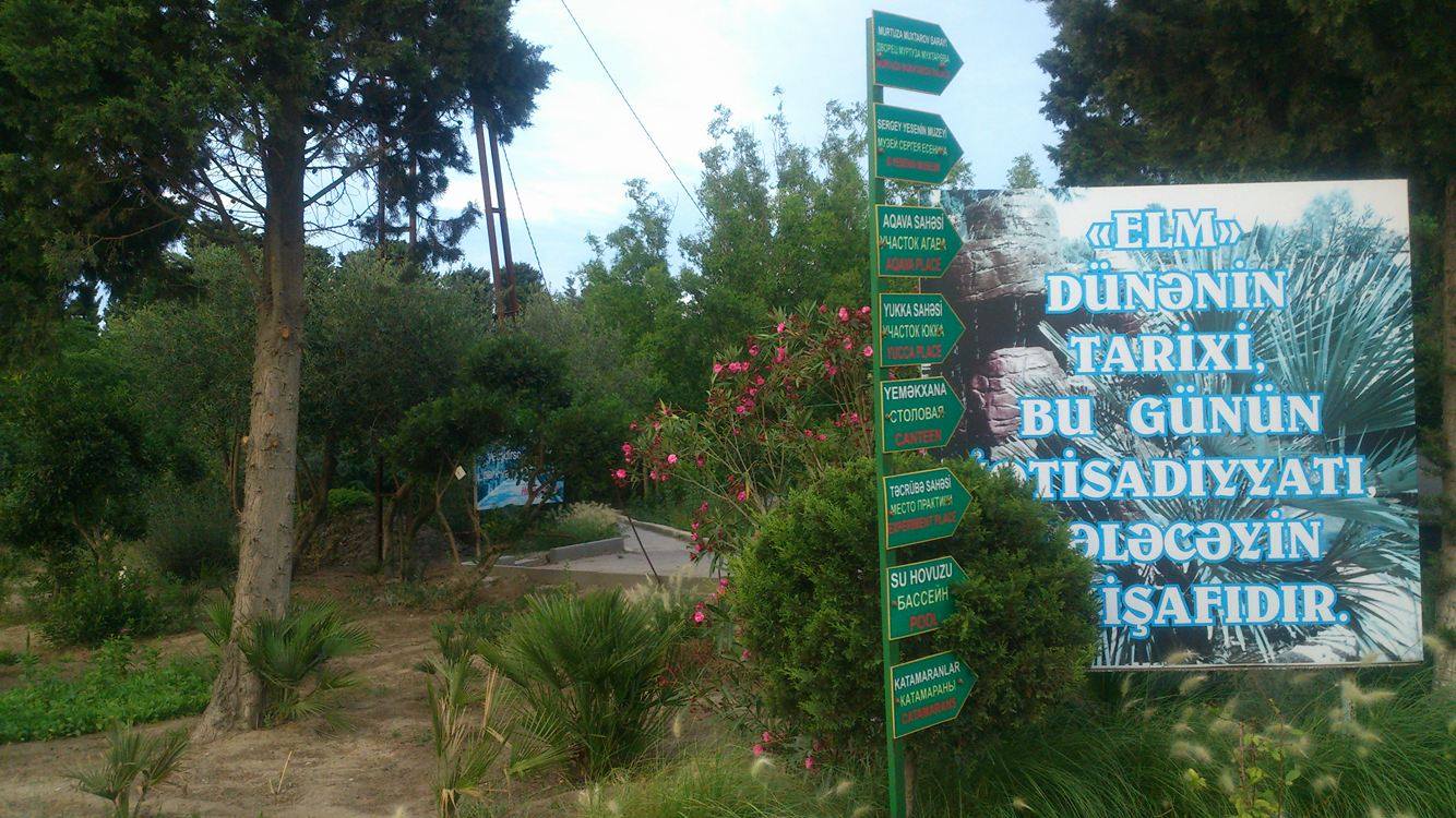 Bakının məşhur bağı çirkab içində... -  Fotolar