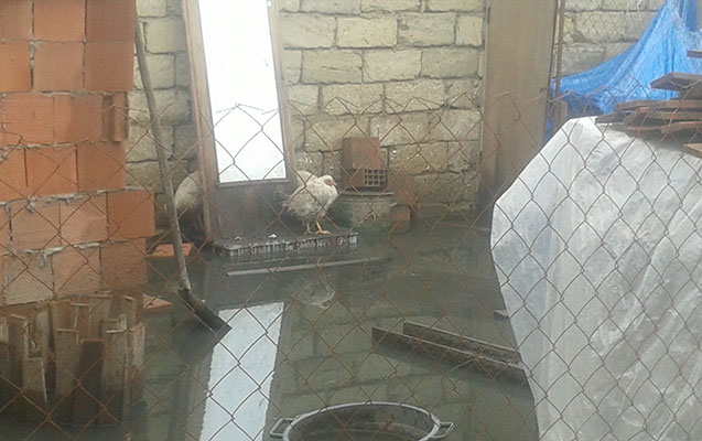 Evləri su basdı - Məhəmmədidə + Fotolar