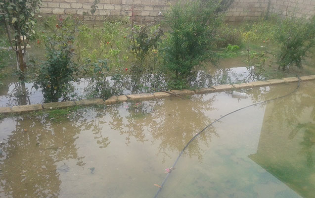 Evləri su basdı - Məhəmmədidə + Fotolar