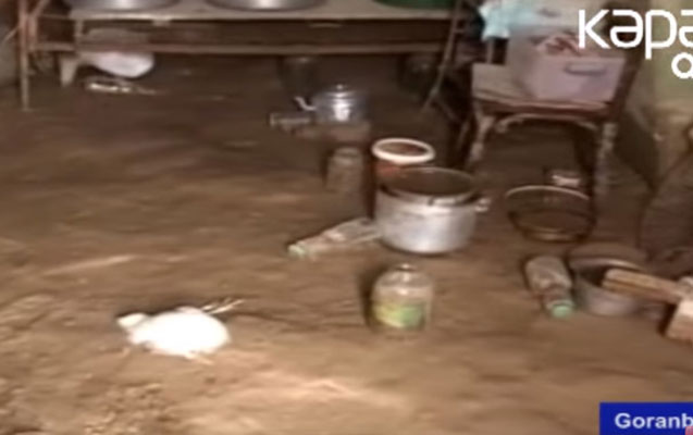 Goranboyda çay daşdı, evlərə ziyan dəydi - Video