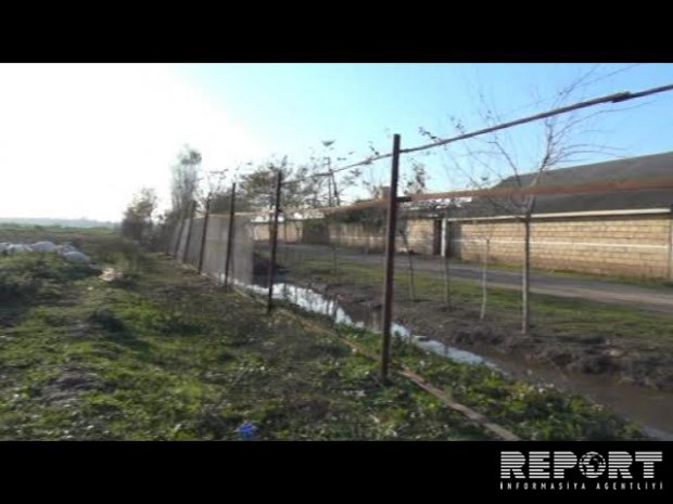 Cəlilabadda qəbiristanlıqda oğurluq olub - Fotolar