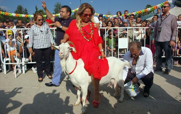 Türkiyənin ən maraqlı cütlüyü ayrıldı -  Fotolar