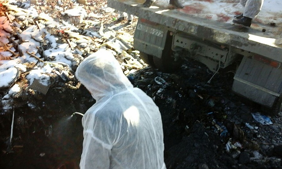 Qəbələdə maşından iylənmiş at cəmdəkləri aşkarlandı -  Foto