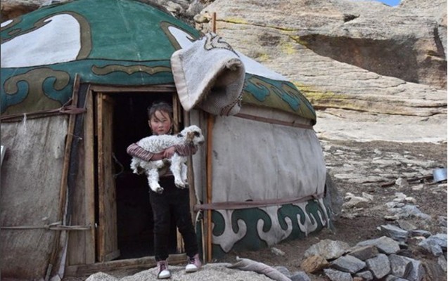 Naxçıvanda doğulub və bütün dünyanı gəzir  -  Fotolar