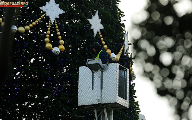 Paytaxtda 36 metrlik yolka quruldu  -  Fotolar