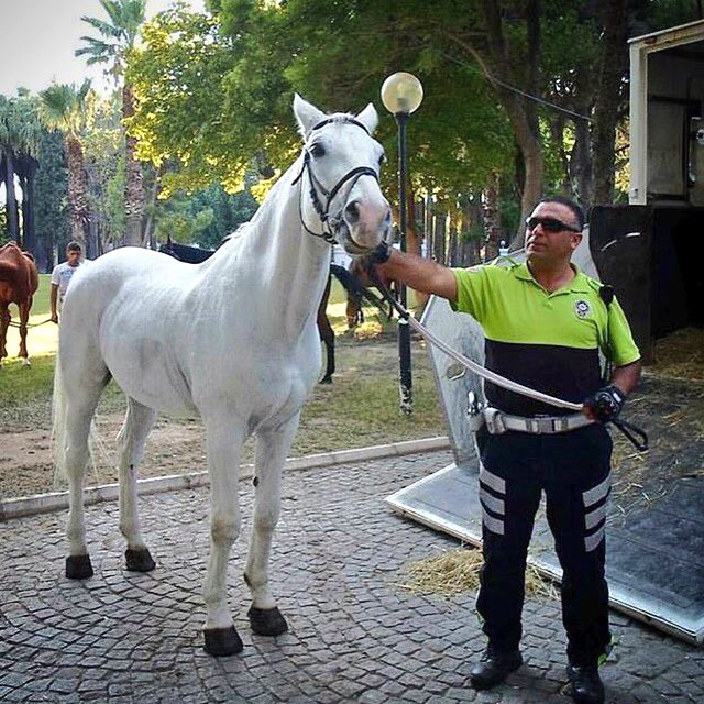 Türkiyə ondan danışır -  Terrorçulara qarşı təkbaşına...