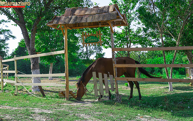 “Ferma” iştirakçılarından 6 min alacaq -  “...Öz qaydalarımız var”