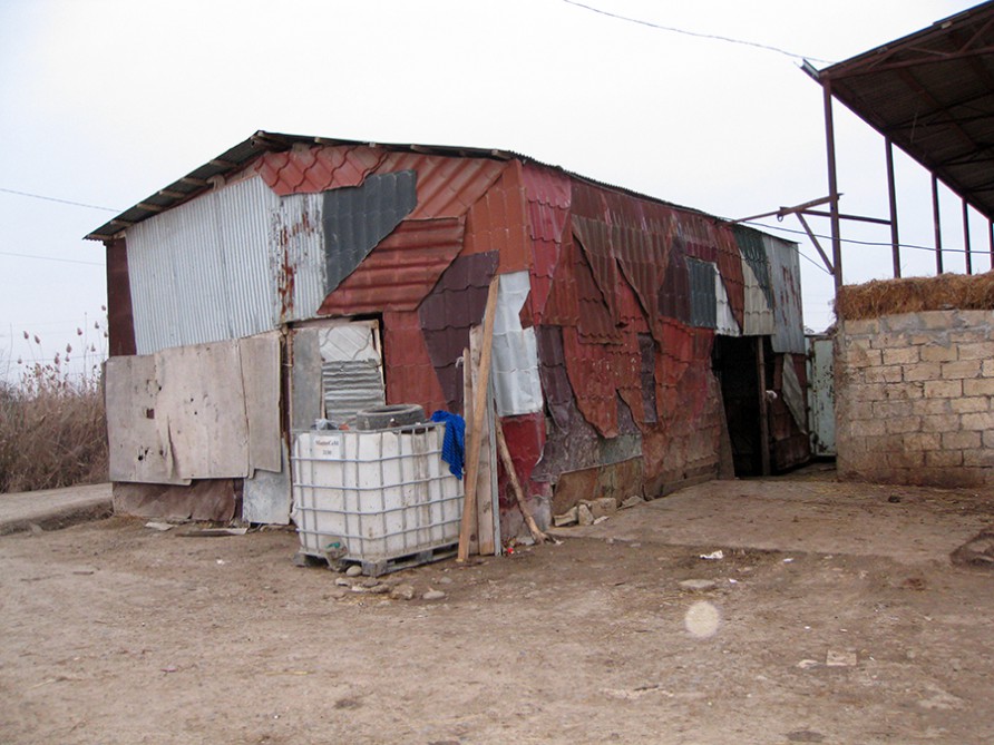 Sabirabadda 600 kq yararsız ət aşkarlandı -  Fotolar