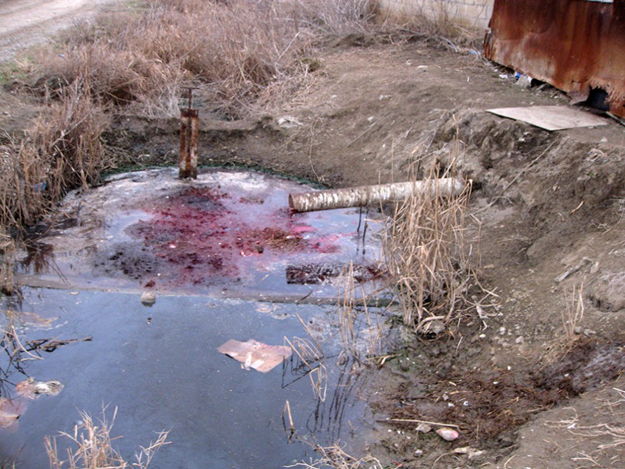 Sabirabadda 600 kq yararsız ət aşkarlandı -  Fotolar