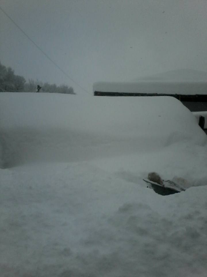 Lerikdə qar 1 metri keçdi  -  Həyat iflic olub+Fotolar