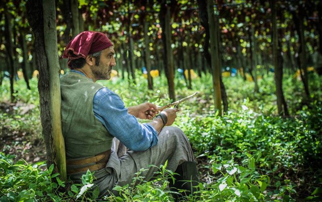 Boğulan aktyora kömək edən olmadı - Elə bildilər çəkilişdi Boğulan aktyora kömək edən olmadı - Elə bildilər çəkilişdi